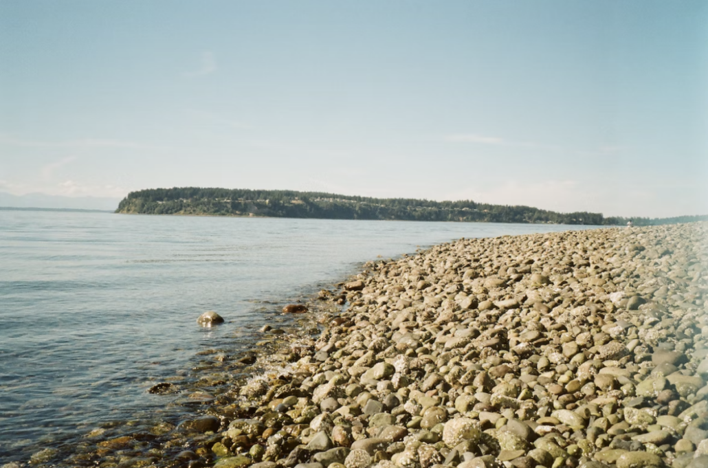 University Place's shore on the Puget Sound